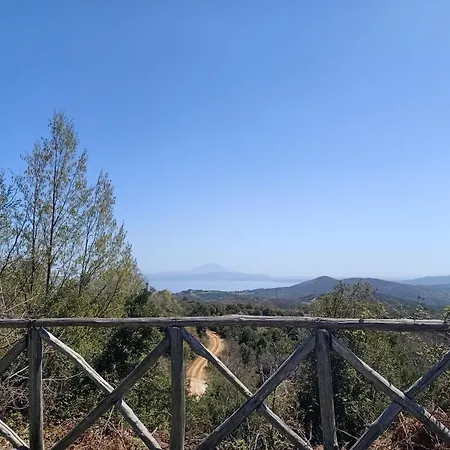 Paparouna * Nikiti (Sithonia)