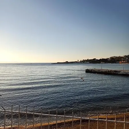 Paparouna * ニキティ