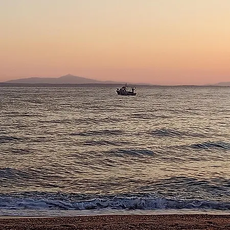 Paparouna アパート ニキティ